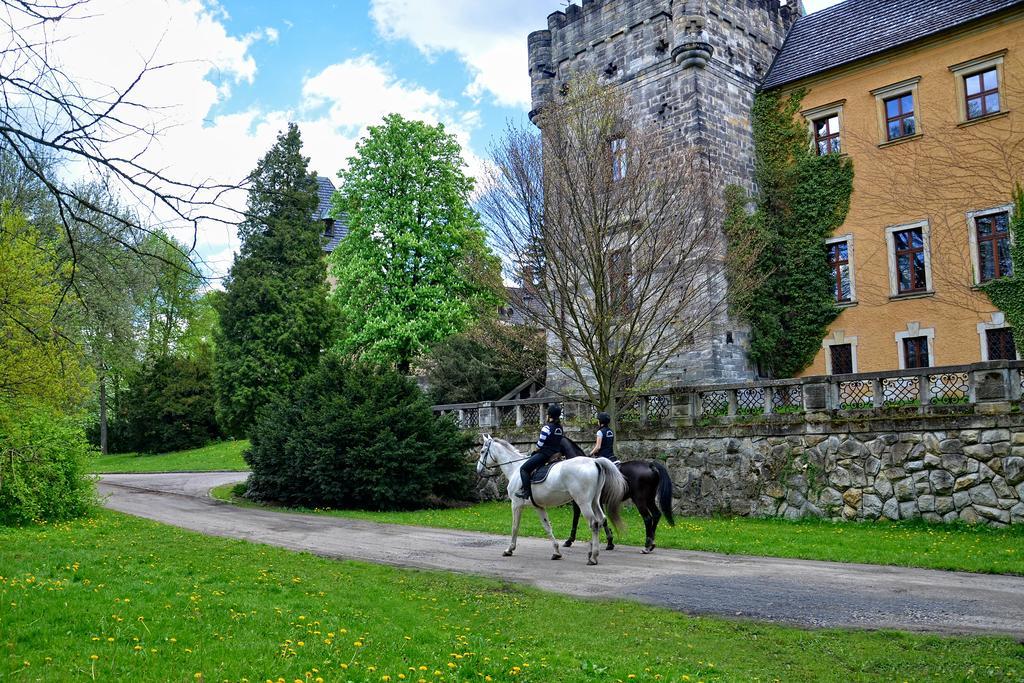 Zamek Centrum Konferencyjno-wypoczynkowe Parque de vacaciones